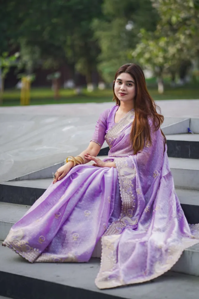 Luxury Designer Saree with Embroidery, Golden Zari & DMC Stone Work S-4086 LAB