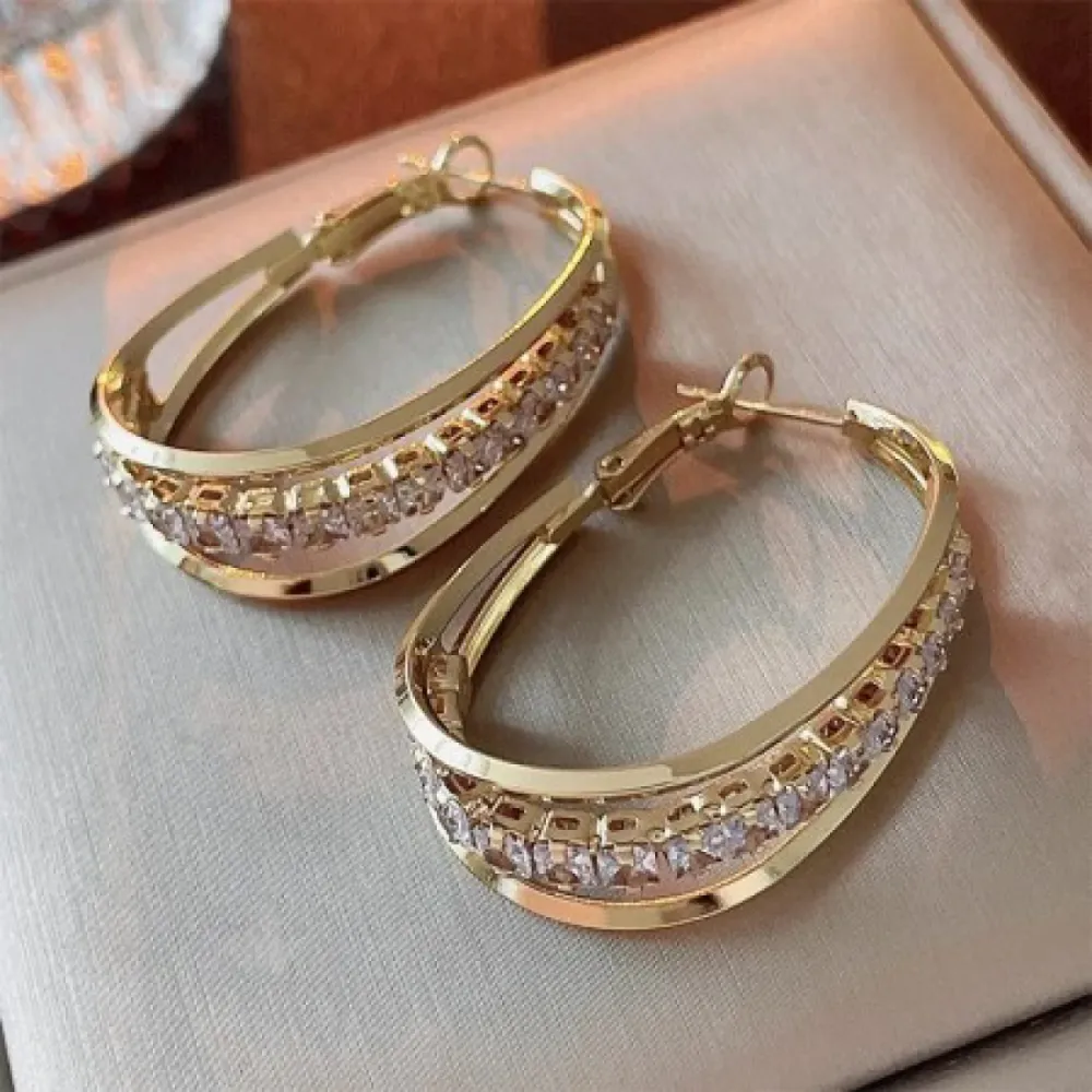 Trendy Fashionable Earrings-10104