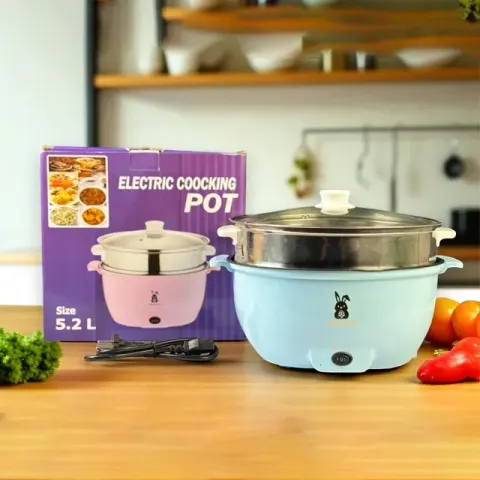 Electric Multi-functional Cooking Pot 5.2 L