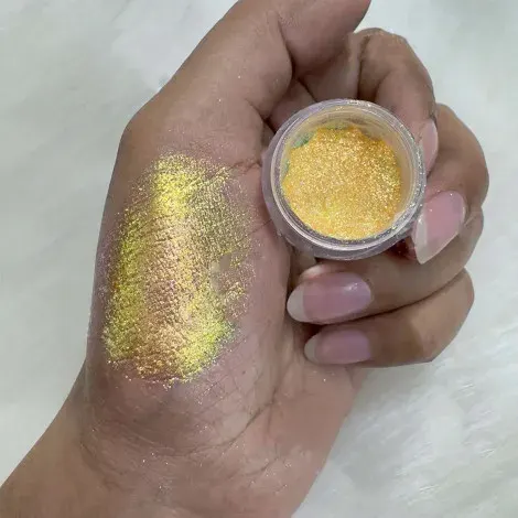 Everly Beauties Multichrome Loose Pigment Eyeshadow Series #313 Star Sign — EVERLY makeup product